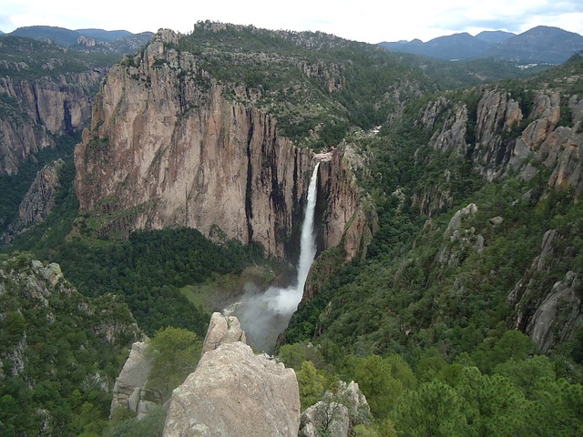 gnp chihuahua