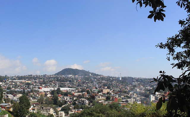 gnp xalapa