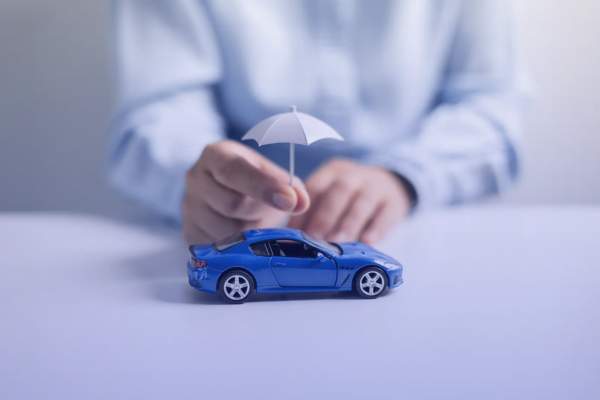 gnp puerta de hierro